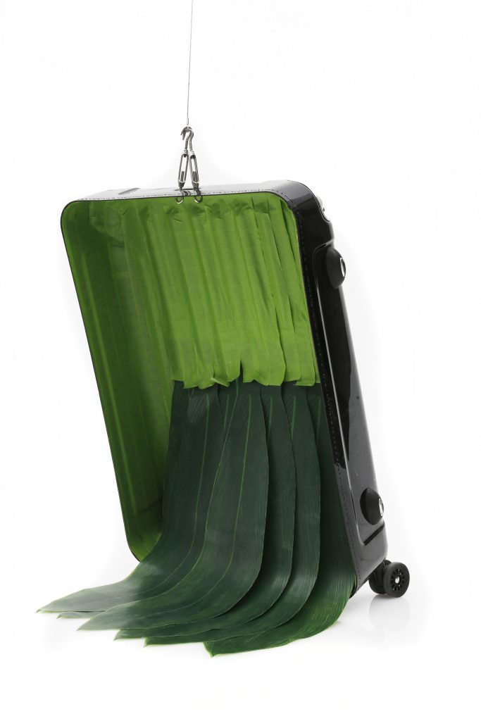 Baggage, 2017, Frog tape, plastic leaves, suitcase